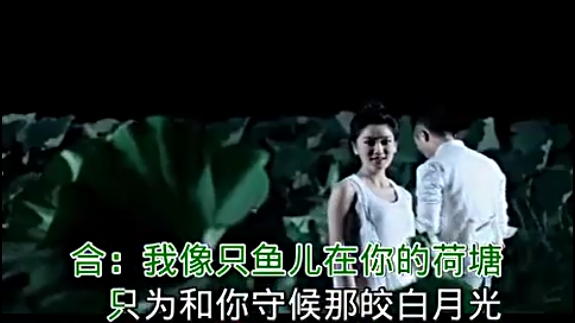 免费mp4歌曲视频下载(免费mp4歌曲视频下载软件)